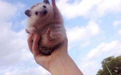 Ideas to Stay Motivated With Your Music and Art